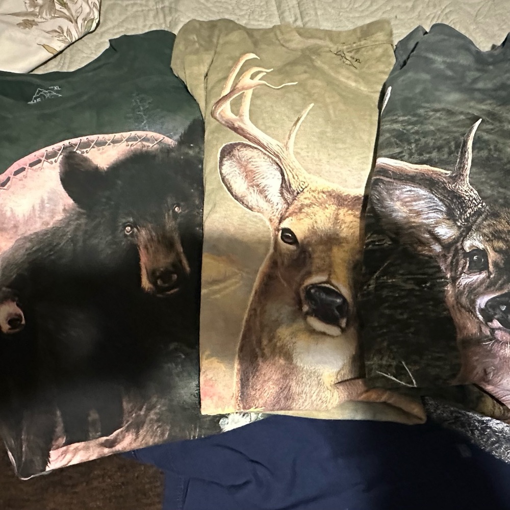 The Mountain Tshirts lot